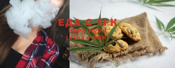 дживик Гатчина
