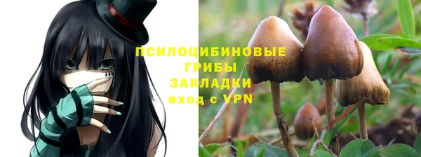 спайс Сатка