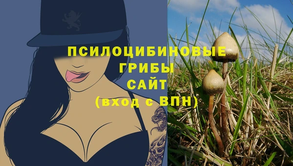спиды Саяногорск