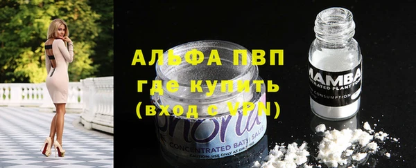 гидра Абинск