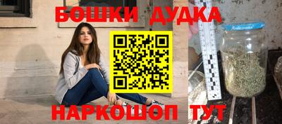 индика Кулебаки