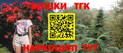 индика Кулебаки